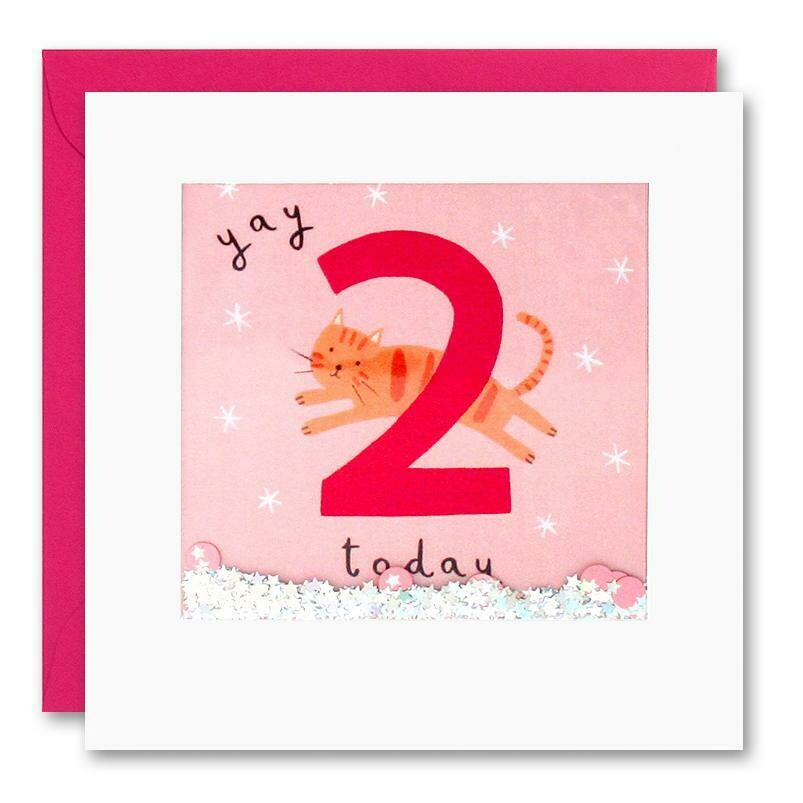 2nd Birthday Cat Shakies Card