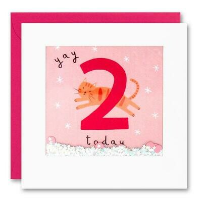 2nd Birthday Cat Shakies Card
