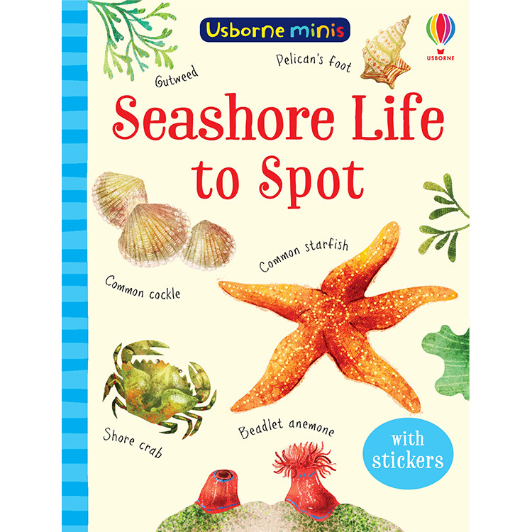 Usborne Mini Book - Seashore Life To Spot