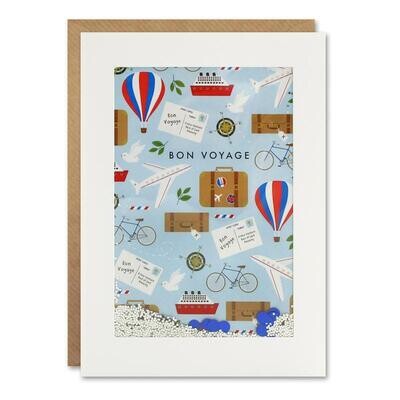Bon Voyage Shakies Cards
