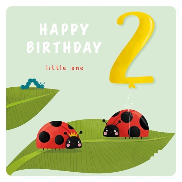 2nd Birthday Ladybirds Card