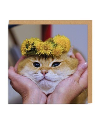 Cat Face Card