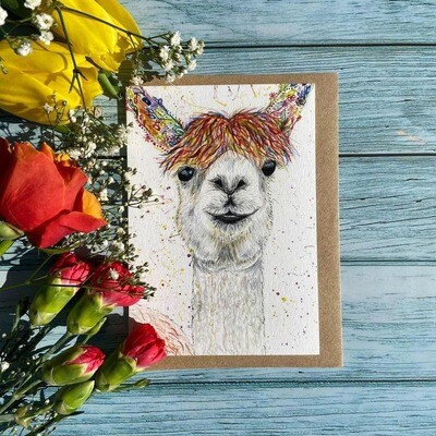 Lily The Llama Card