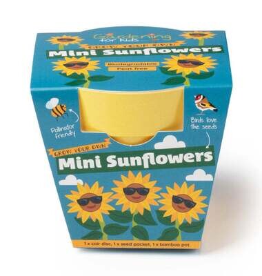 Grow Your Own Mini Sunflowers Kit
