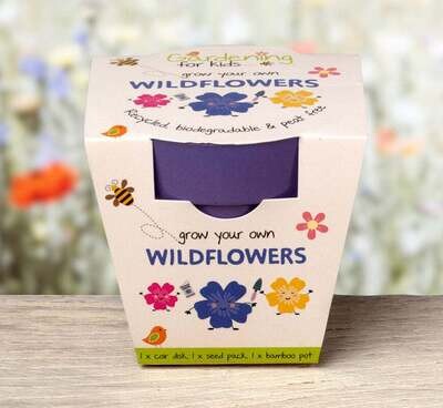 Grow Your Own Wildflowers Kit