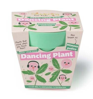 Grow Your Own Dancing Plant Kit