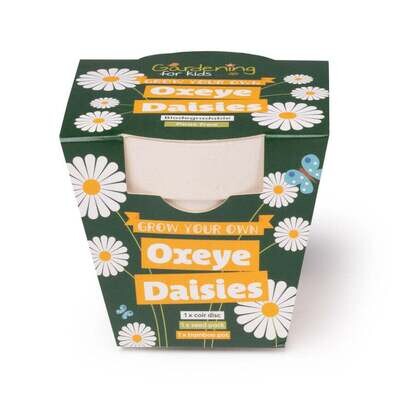 Grow Your Own Oxeye Daisies Kit