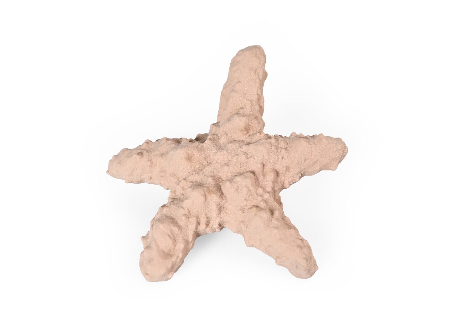 Recycled Rubber Starfish Lick Toy