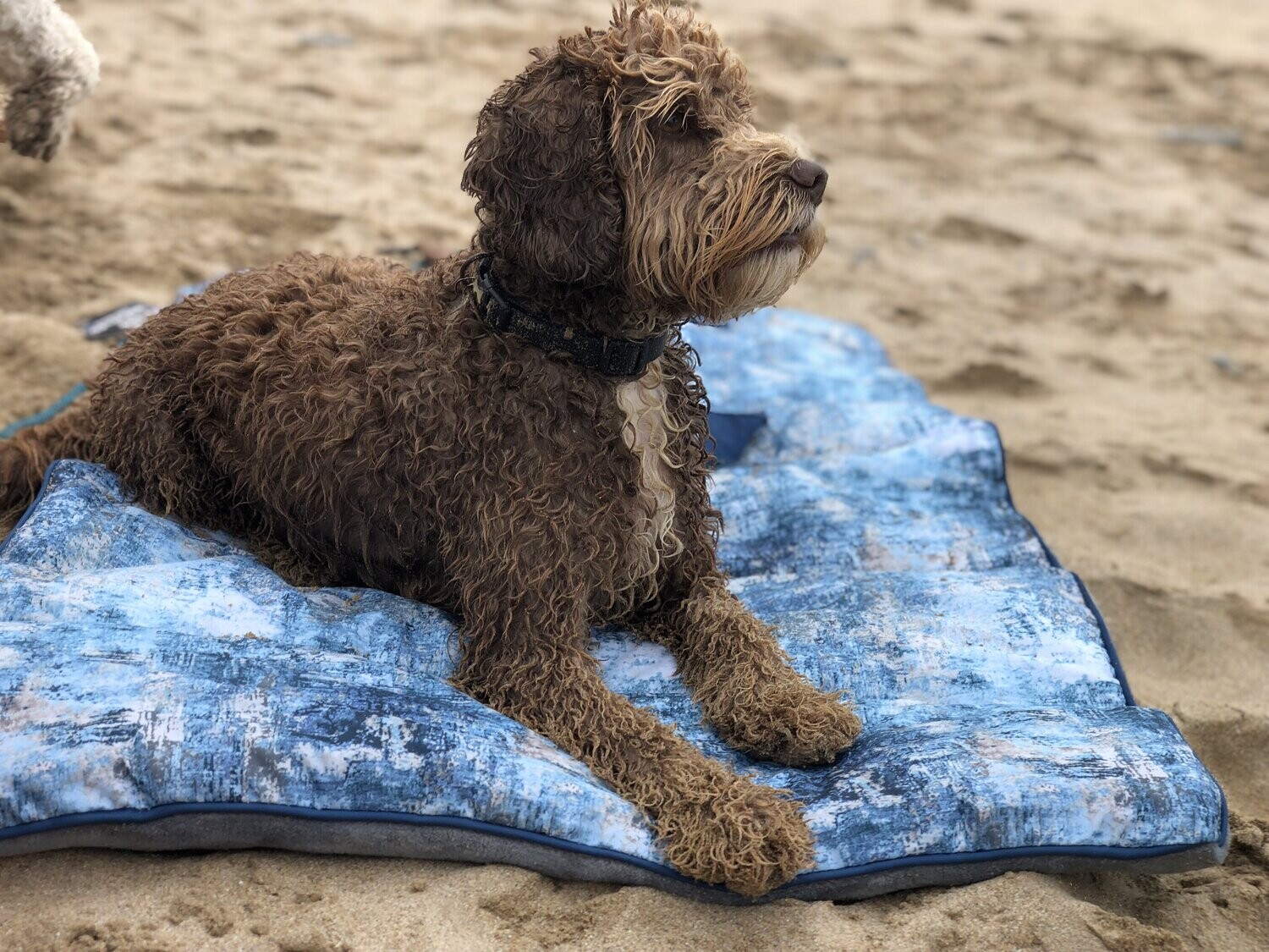 Dog Travel Mat - Navy Ocean Pattern