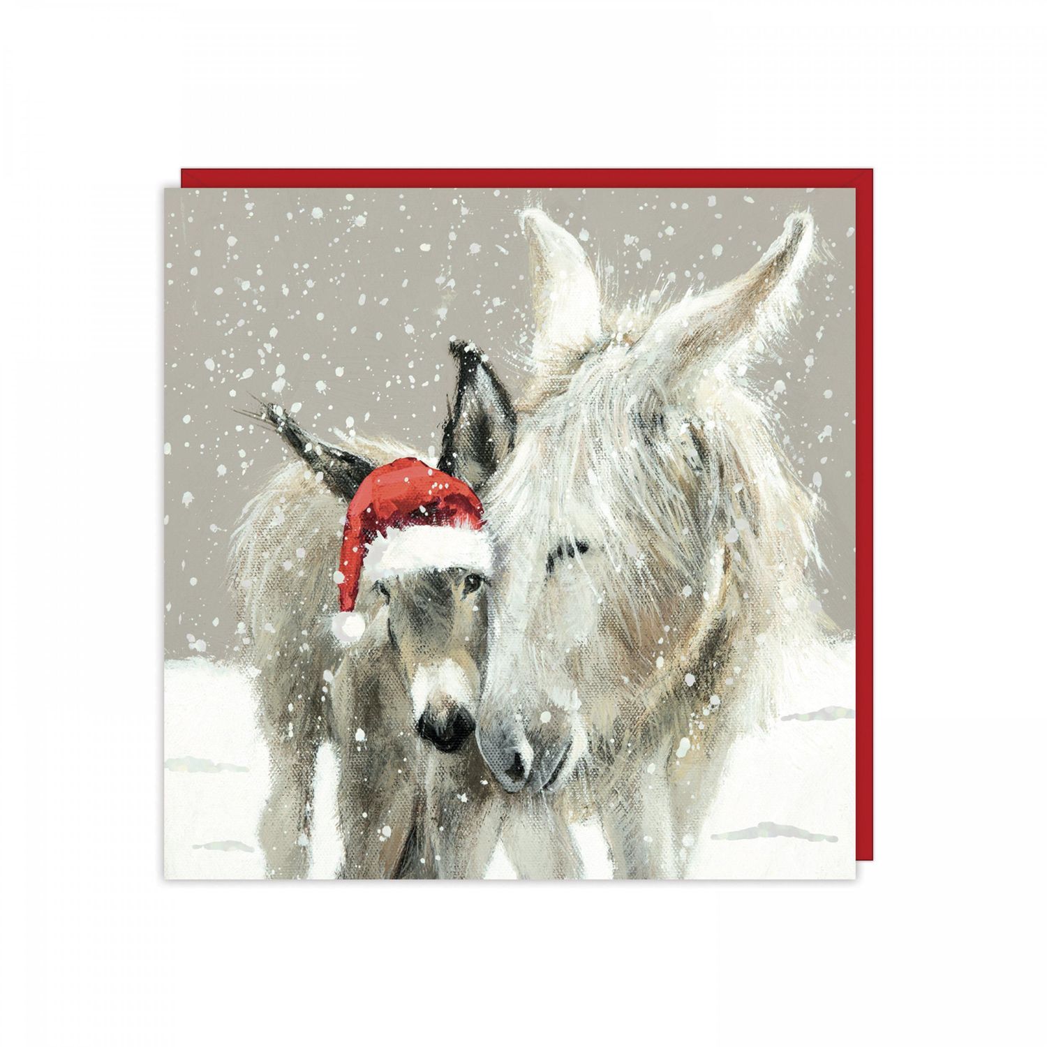 Warm Wishes (Donkeys) Pack Of 6 Charity Christmas Cards