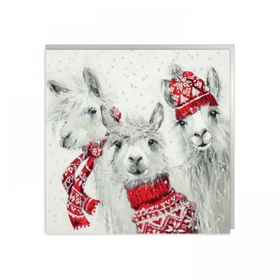 Winter Warmer (Alpacas) Pack Of 6 Charity Christmas Cards