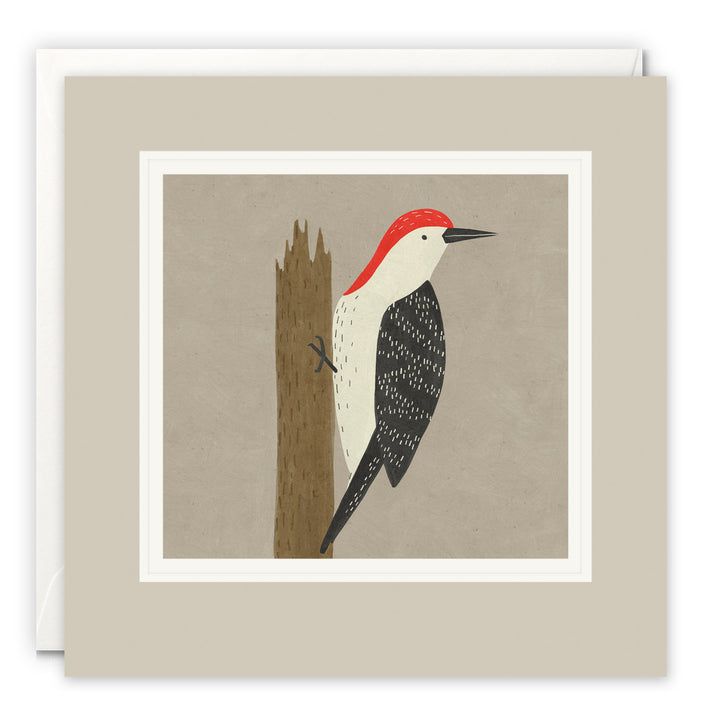 Paintworks Woodpecker Card