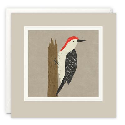 Paintworks Woodpecker Card