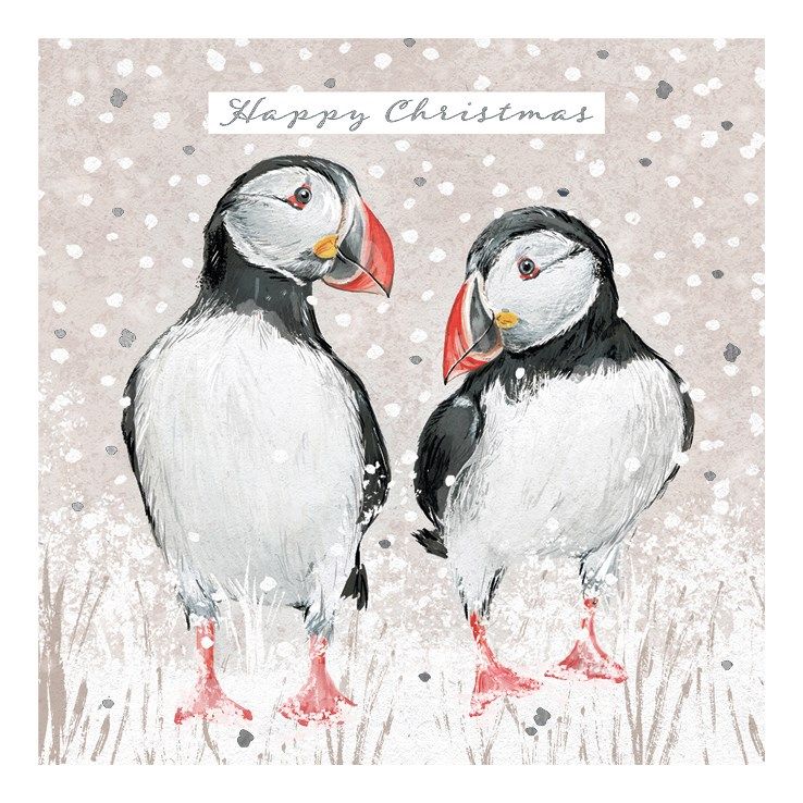 Puffins Charity Christmas Card Pack