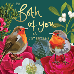 Christmas Both Of You Robins Card