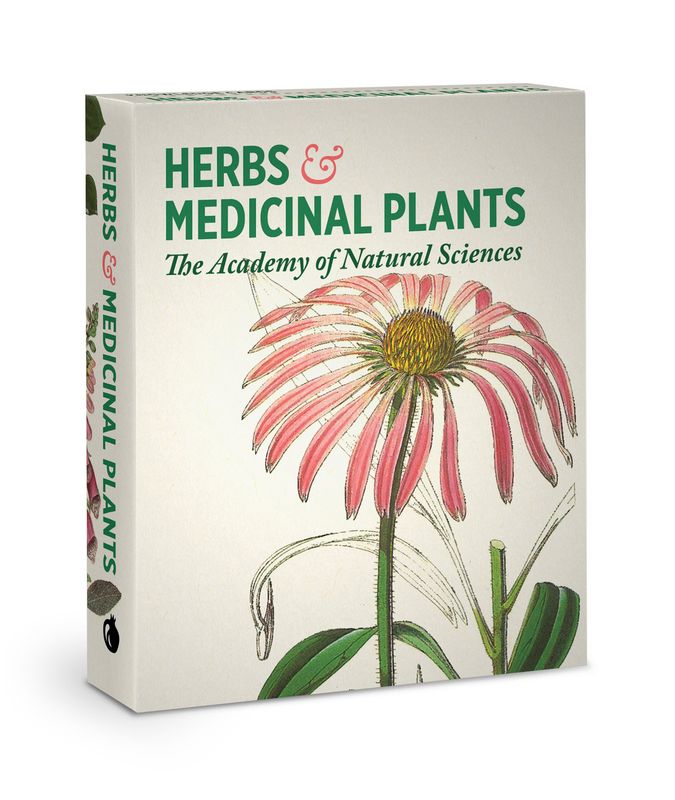 Herbs &amp; Medicinal Plants Knowledge Cards