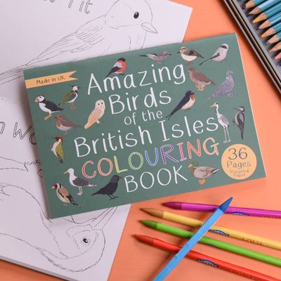 Amazing Birds Of The British Isles Colouring Book