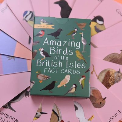 Amazing Birds Of The British Isles Flash Cards
