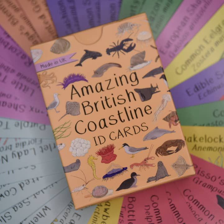 Amazing British Coastline ID Cards