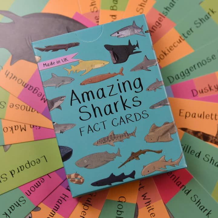 Amazing Sharks Flash Cards