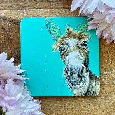 Donkey Coaster