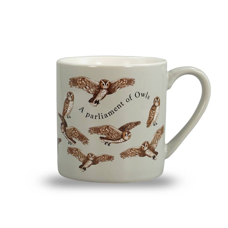 RSPB A Parliament Of Owls Mug