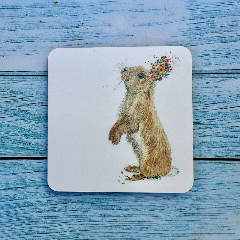 Rabbit Coaster