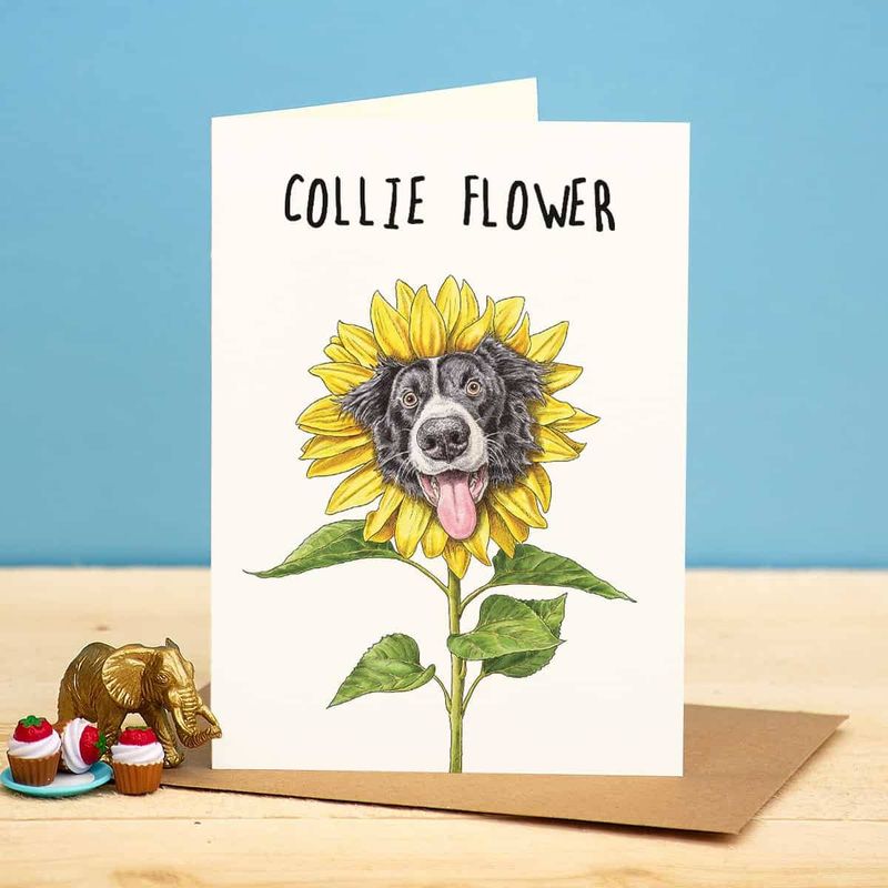 Collie Flower Card