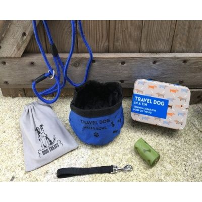 Travel Dog In A Tin