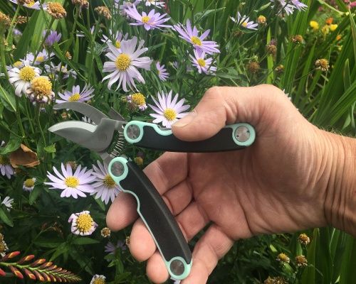 Original Folding Pocket Secateurs - Green