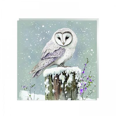 Glimmer Skies (Owl) Pack Of 6 Charity Christmas Cards