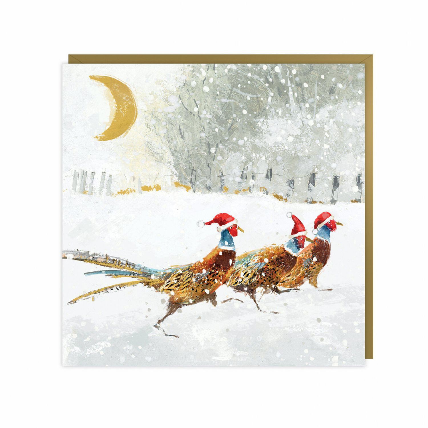 Santa Dash (Pheasants) Pack Of 6 Charity Christmas Cards