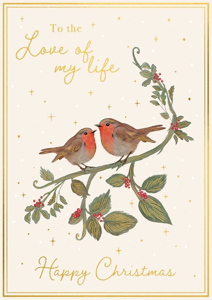 Christmas Love Of My Life Robins Card