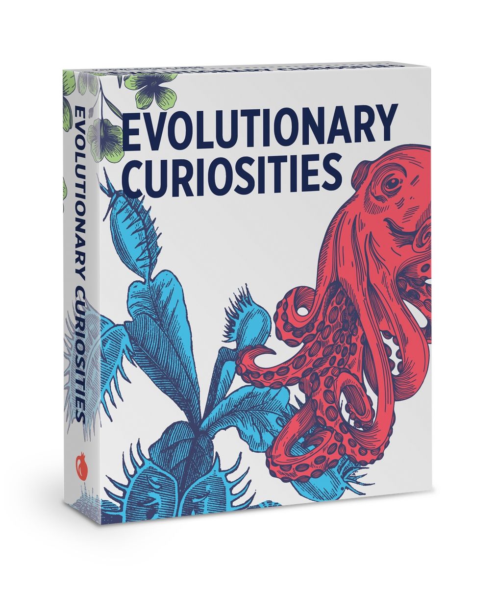 Evolutionary Curiosities Knowledge Cards