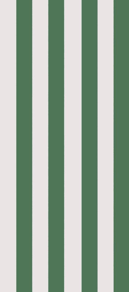 Tissue Paper - Green &amp; Cream Stripe (Pack Of 4)