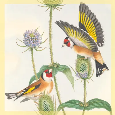 Goldfinches Card