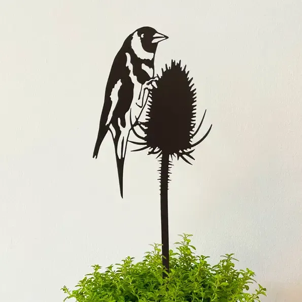 Goldfinch On A Teasel Pot Stem