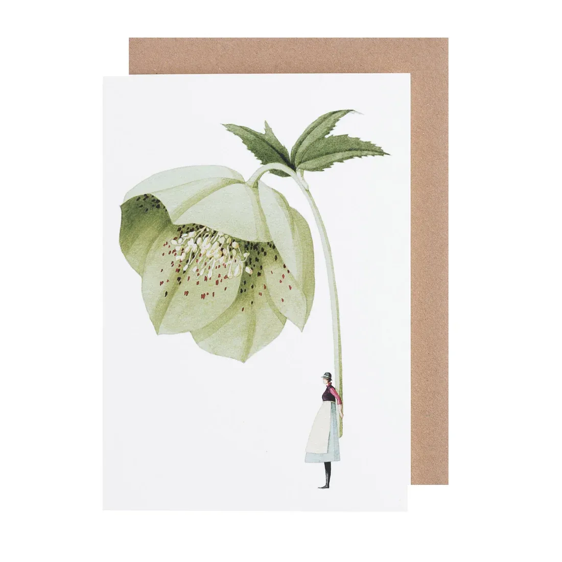 Green Hellebore - Card