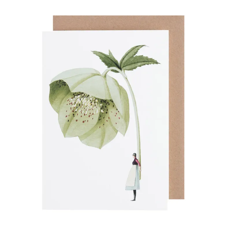 Green Hellebore - Card