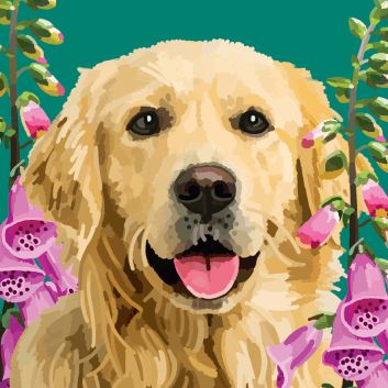 Dogs Golden Retriever Card