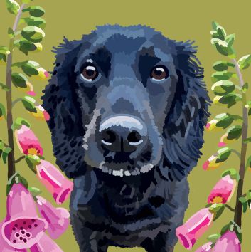 Dogs Cocker Spaniel Card