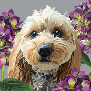 Dogs Cockapoo Card
