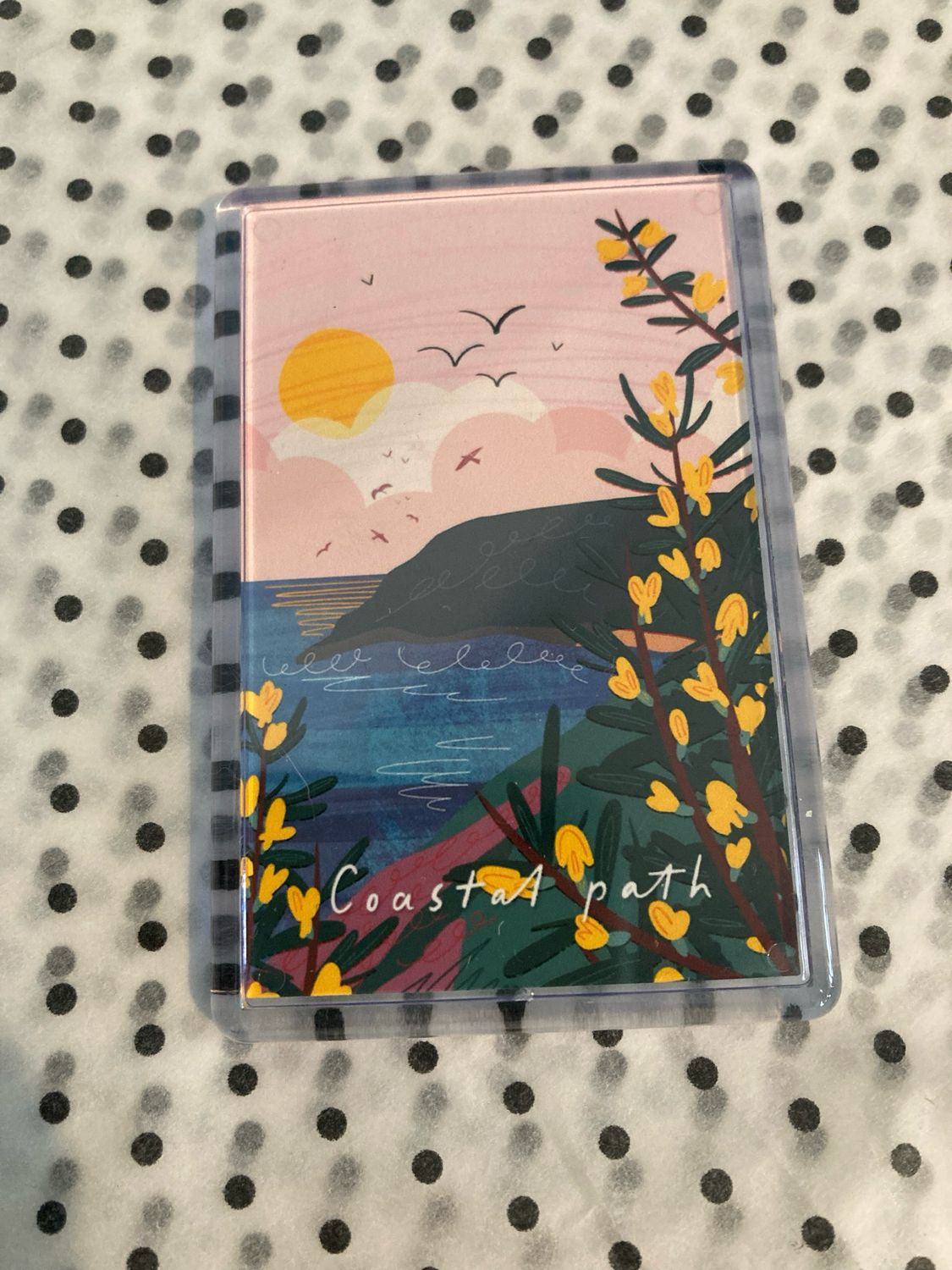 Coastal Path Fridge Magnet