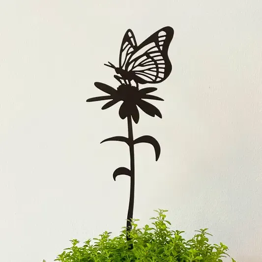 Butterfly Feeding On Oxeye Daisy Pot Stem