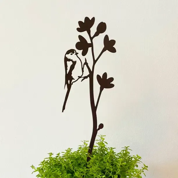 Long Tailed Tit With Blossom Pot Stem