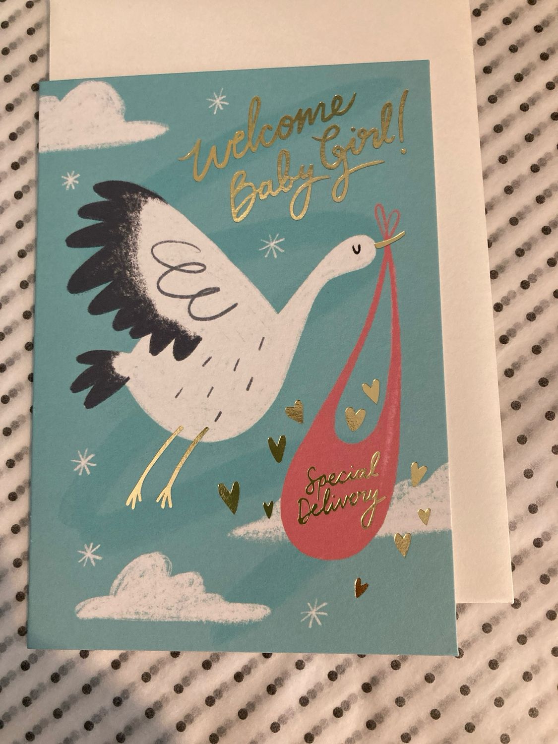 Baby Girl Stork Card