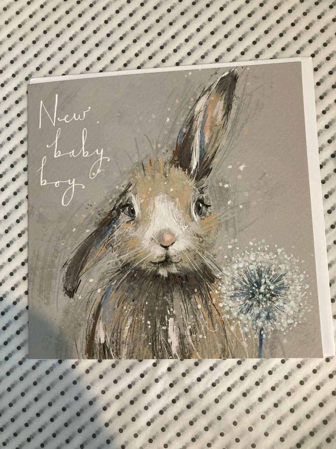 Baby Boy Bunny Card