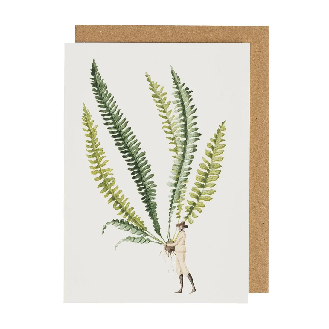 Fern 1 - Card