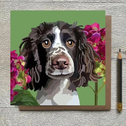 Dogs Springer Spaniel Card