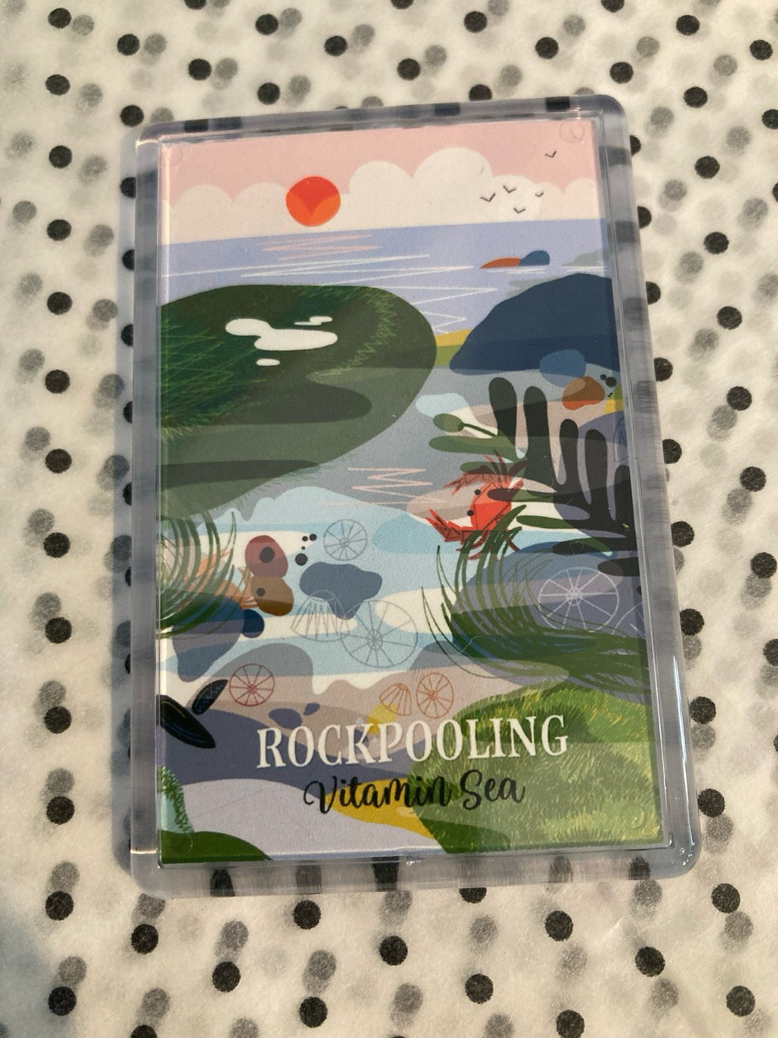 Rockpooling Fridge Magnet